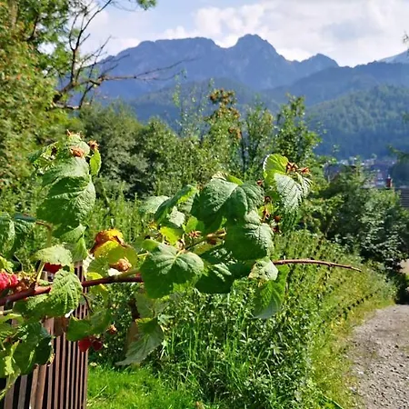 Kalinowka Kościelisko