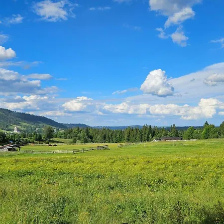 Kalinowka