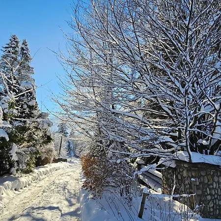 Kalinowka * Kościelisko