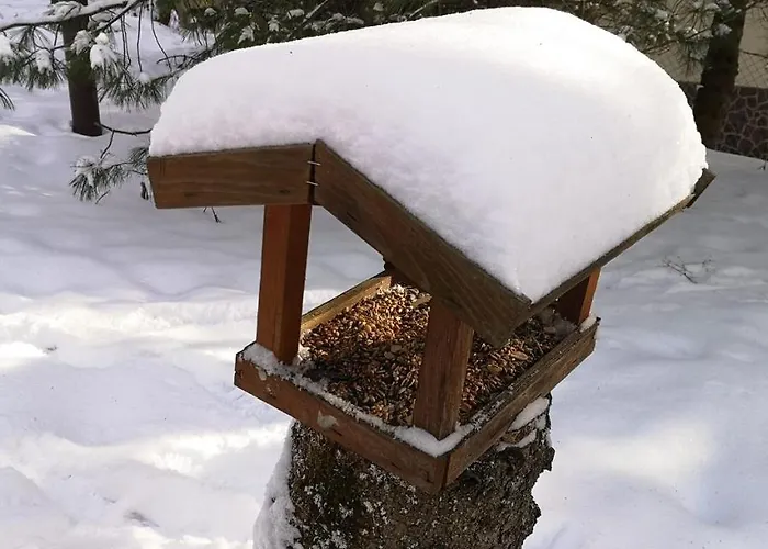 아파트 Kalinowka 코스실리스코