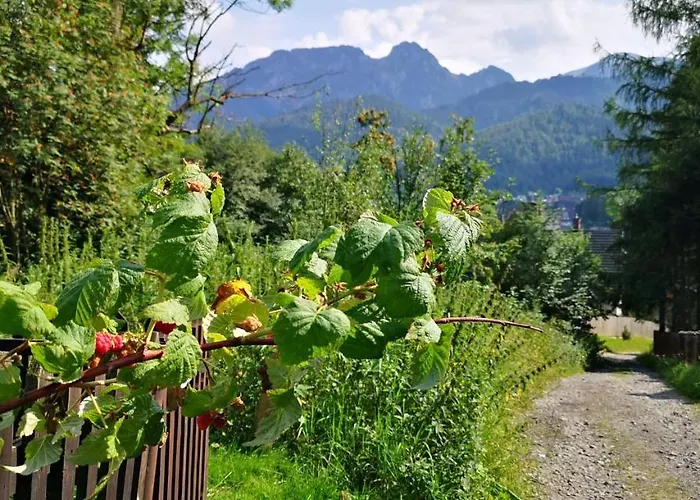 Kalinowka 코스실리스코