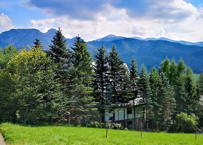 Kalinowka 아파트 *