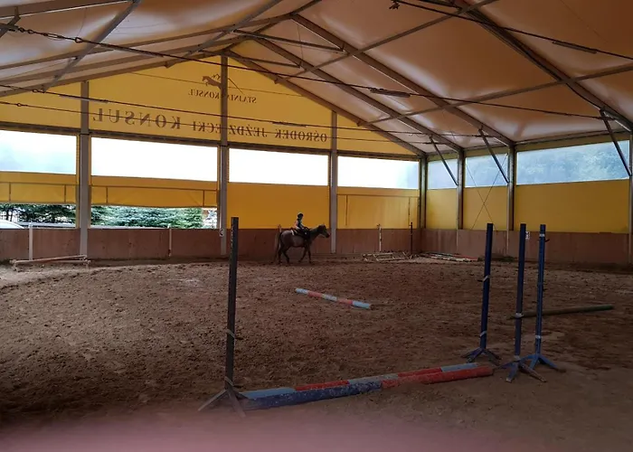 Kalinowka 아파트 *