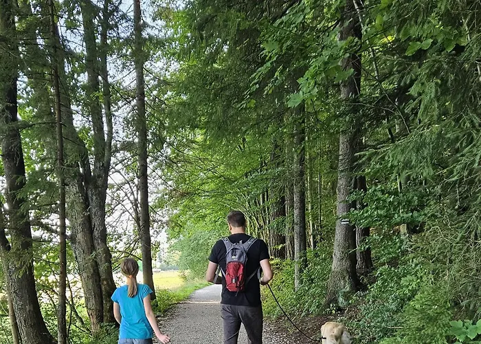 Kalinowka Kościelisko