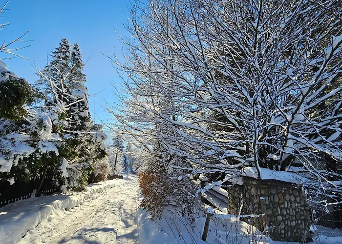 Kalinowka * 코스실리스코