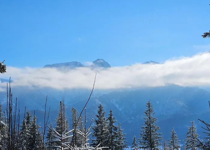 아파트 Kalinowka 코스실리스코