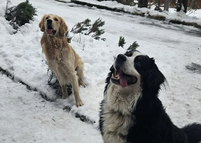 아파트 Kalinowka *